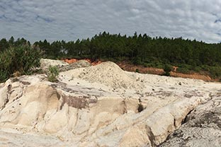 什么是高嶺土 高嶺土除鐵設備